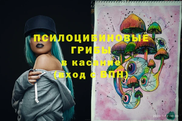 мет Арсеньев