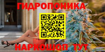 прущие грибы Мариинск