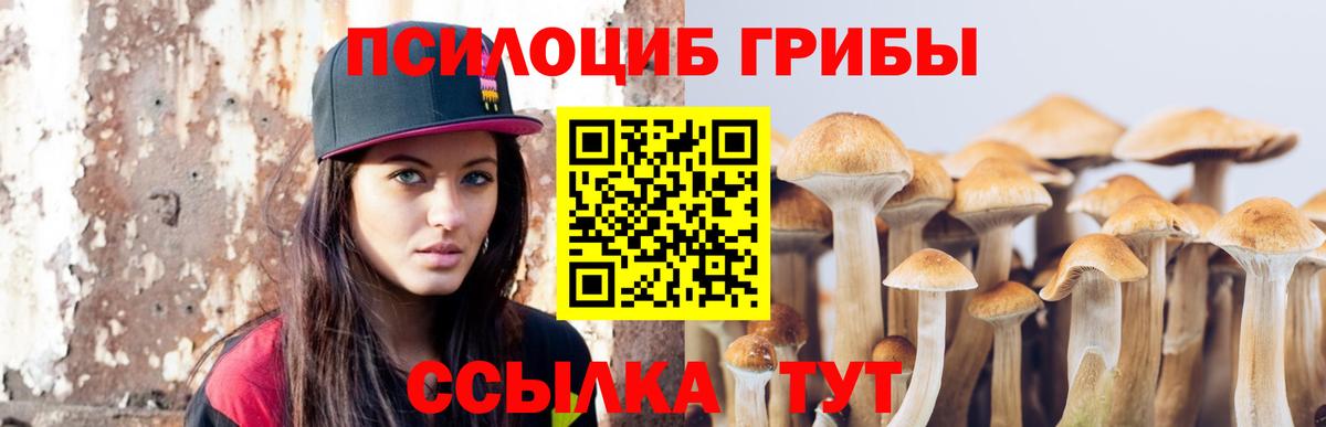 Галлюциногенные грибы Psilocybine cubensis  Псилоцибиновые грибы GOLDEN TEACHER  Калуга  Вход с VPN 