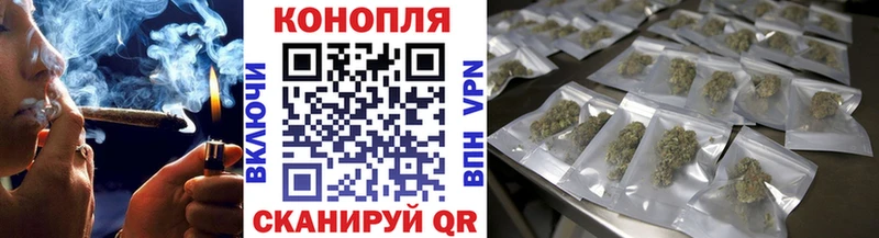 где можно купить   Калуга  Бошки Шишки сатива 